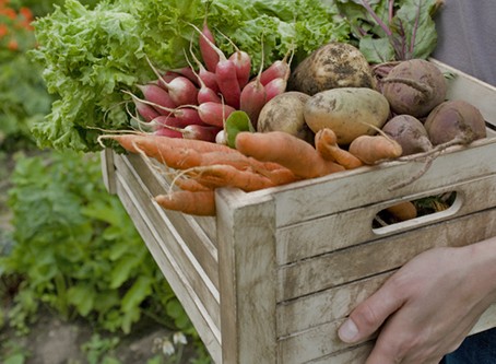 Trendspotting: Farm to table
